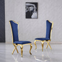 #BLUE/GOLD