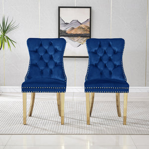 #BLUE/GOLD