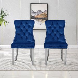 #BLUE/SILVER