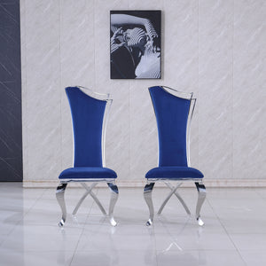 #BLUE/SILVER