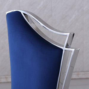 #BLUE/SILVER