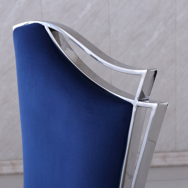 #BLUE/SILVER