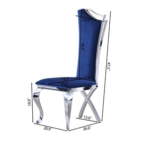 #BLUE/SILVER